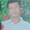 sơn